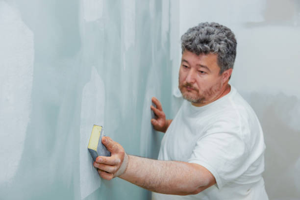 Mold Removal for HVAC Installations in Colby, WI